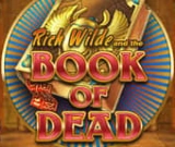 Book of Dead bei Playbaze