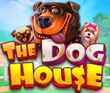 The Dog House Megaways bei Playbaze